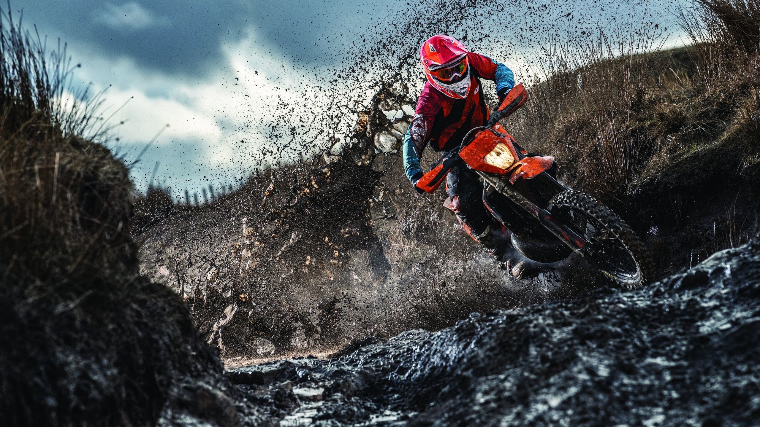 银箭觉醒与黑马神话,诺里斯无懈可击的统治之战